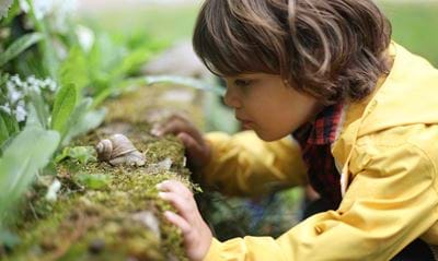Her er 10 bud på anderledes aktiviteter i naturen børn - ALT.dk