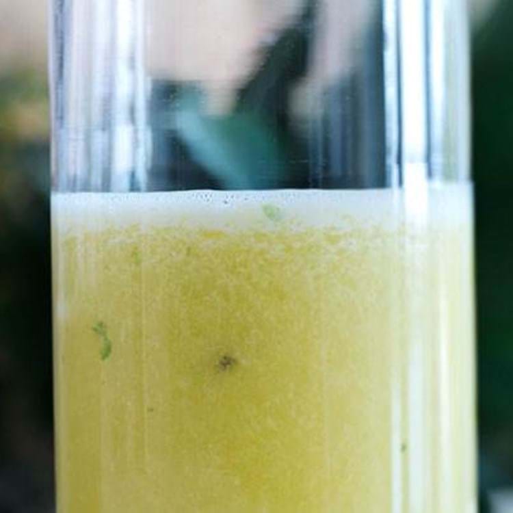 Hjemmelavet juice - find de bedste opskrifter på friskpresset juice