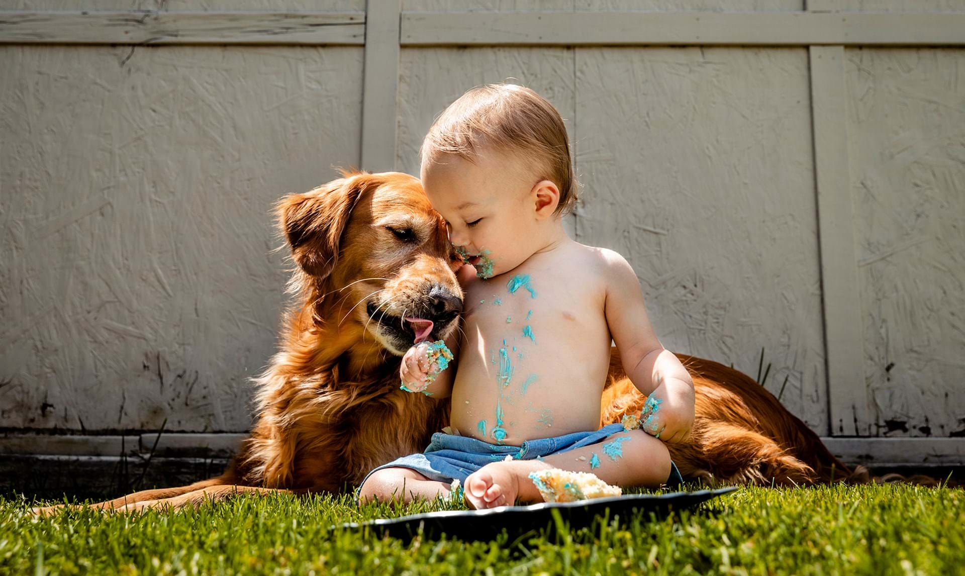 16 dejlige ting, som børn og hunde har tilfælles - ALT.dk