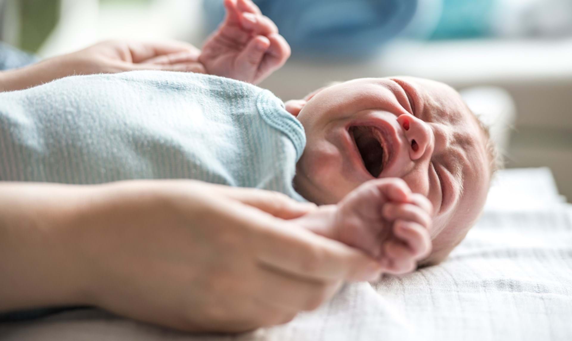 bøn skrige Ud Lær at rumme babys gråd - Vores Børn - ALT.dk